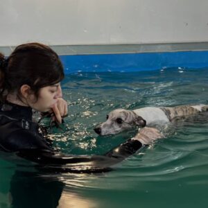 АниФит. AniFit. Бассейн для собак в Москве. Хендлинг-зал, груминг, дог-фитнес.