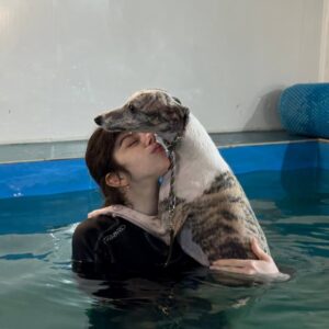 АниФит. AniFit. Бассейн для собак в Москве. Хендлинг-зал, груминг, дог-фитнес.