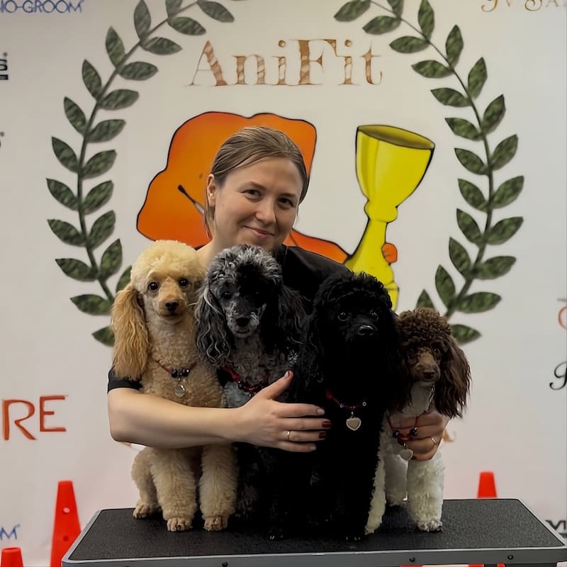 Дарья Чернакова. Кинолог, зоотехник, профессиональный хендлер, инструктор по курсу «Послушание и УГС», инструктор по дог-фитнесу, аква-тренер, грумер, стаж более 12 лет.