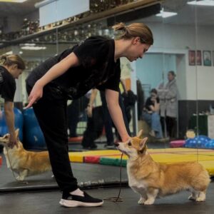 Хендлинг-зал. Хендлинг.