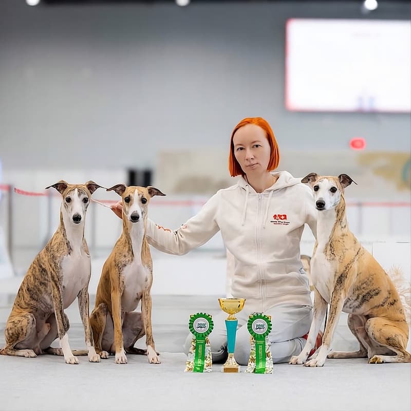 Анна Павлова. Ветеринарный врач, профессиональный хендлер, аква-тренер, грумер, стаж более 26 лет.